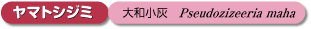73回タイトル