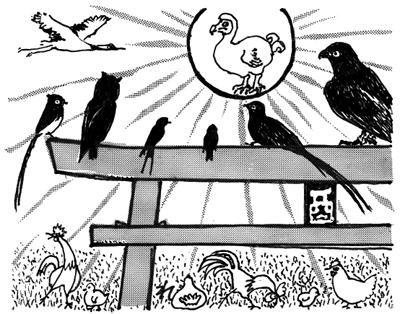 イラスト