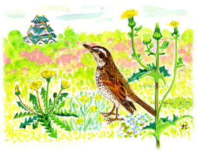イラスト