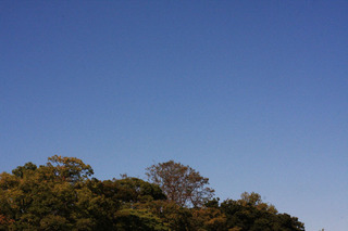IMG_0386.jpg