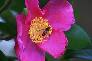 IMG_0831.jpg