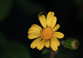 IMG_0837.jpg