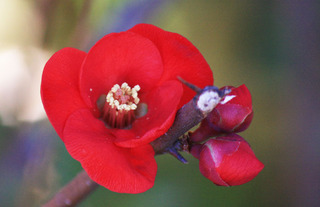 IMG_1455.jpg