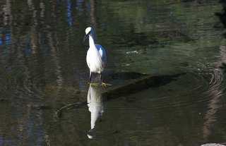 IMG_1486.jpg