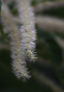 IMG_1815.jpg