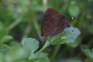 IMG_1956.jpg