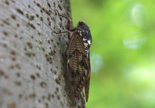 IMG_2641.jpg