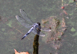 IMG_2788.jpg