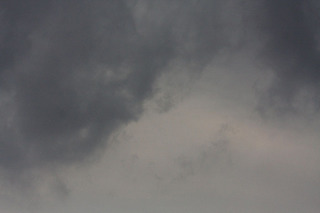 IMG_2963.jpg