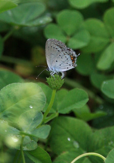 IMG_3072.jpg