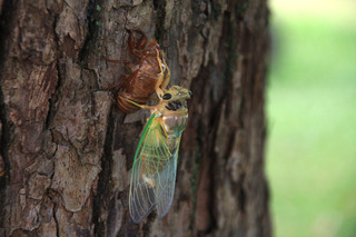 IMG_3144.jpg