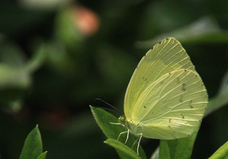 IMG_3289.jpg