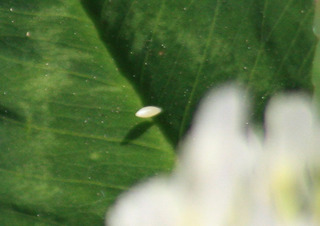 IMG_3455.jpg