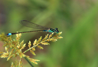 IMG_3478.jpg