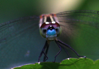 IMG_3479.jpg
