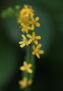 IMG_3568.jpg