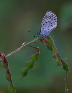 IMG_3641.jpg