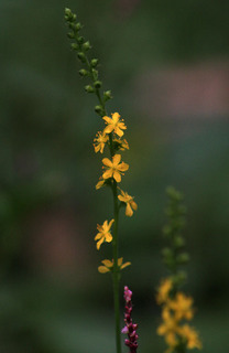 IMG_3670.jpg