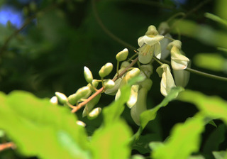 IMG_3716.jpg