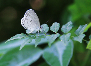IMG_3720.jpg