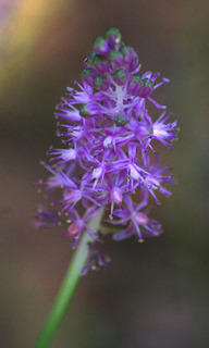 IMG_3837.jpg