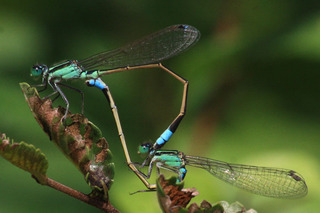 IMG_3891.jpg