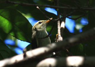 IMG_3990.jpg