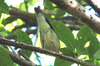 IMG_3995.jpg
