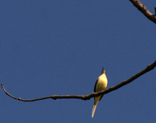 IMG_4146.jpg