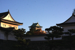 IMG_4511.jpg