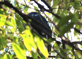 IMG_4777.jpg