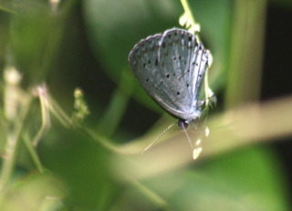 IMG_4777.jpg