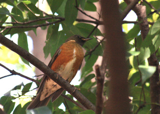 IMG_4825.jpg