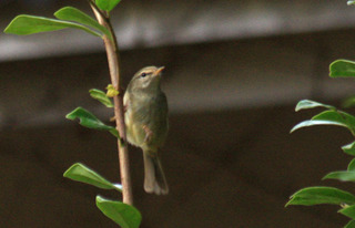 IMG_4869.jpg