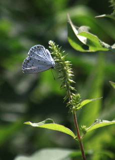 IMG_4873.jpg