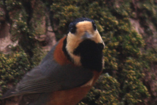 IMG_5067.jpg