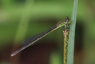IMG_5087.jpg