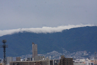 IMG_5182.jpg
