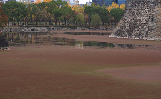 IMG_5218.jpg
