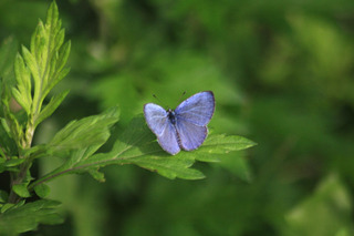 IMG_5293.jpg