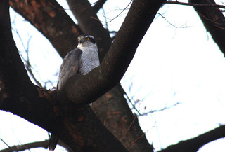 IMG_5344.jpg