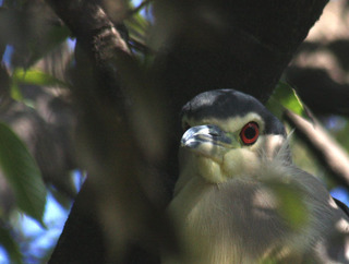 IMG_5401.jpg