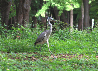 IMG_5438.jpg
