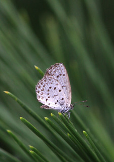 IMG_5457.jpg
