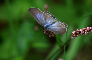 IMG_5728.jpg