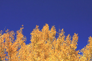 IMG_5749.jpg