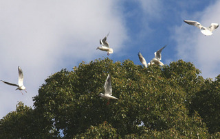 IMG_5750.jpg