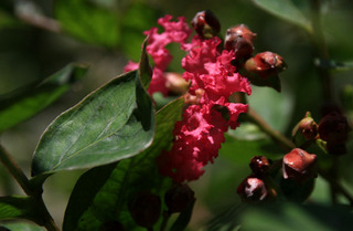 IMG_5800.jpg
