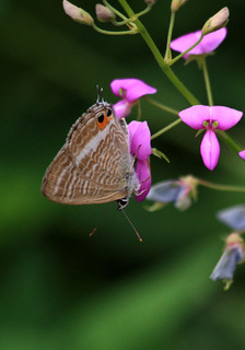 IMG_5872.jpg