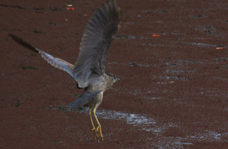 IMG_5874.jpg